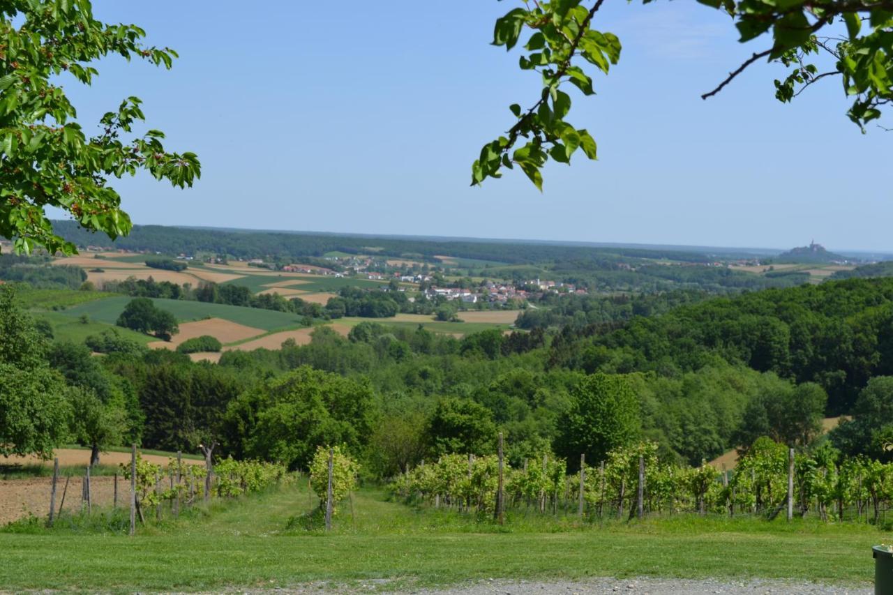 格勒尔斯多夫公寓 Gerersdorf bei Güssing 外观 照片